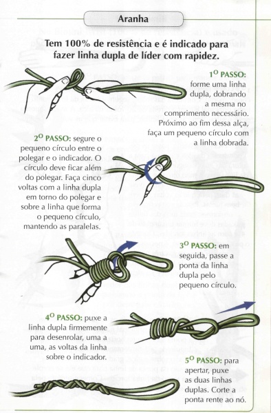 Arquivo:Guiadenos aranha01.jpg