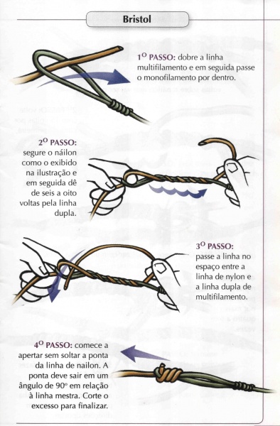 Arquivo:Guiadenos bristol.jpg