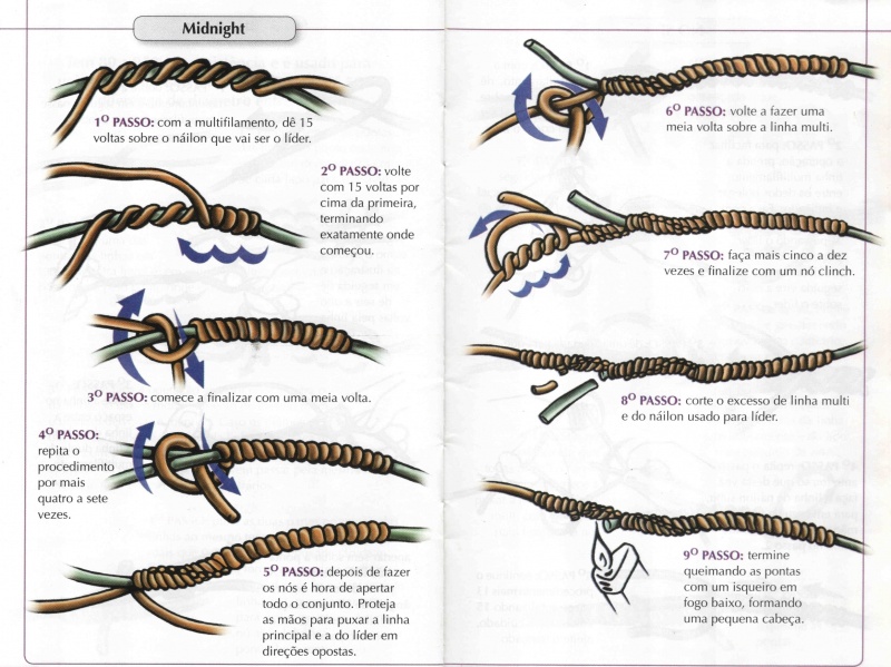 Arquivo:Guiadenos midnight.jpg
