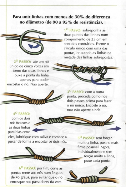 Arquivo:Guiadenos basicounico01.jpg