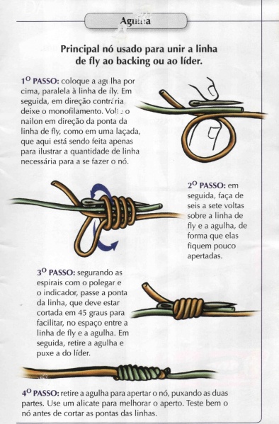 Arquivo:Guiadenos aguina.jpg