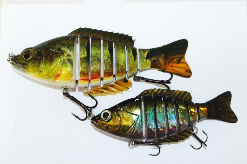 Arquivo:Isca surebite01.jpg