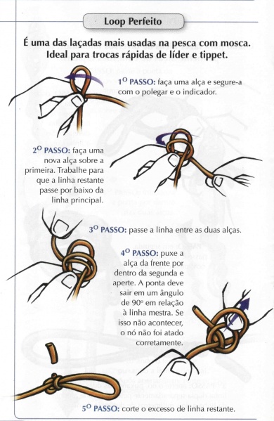 Arquivo:Guiadenos loopperfeito.jpg